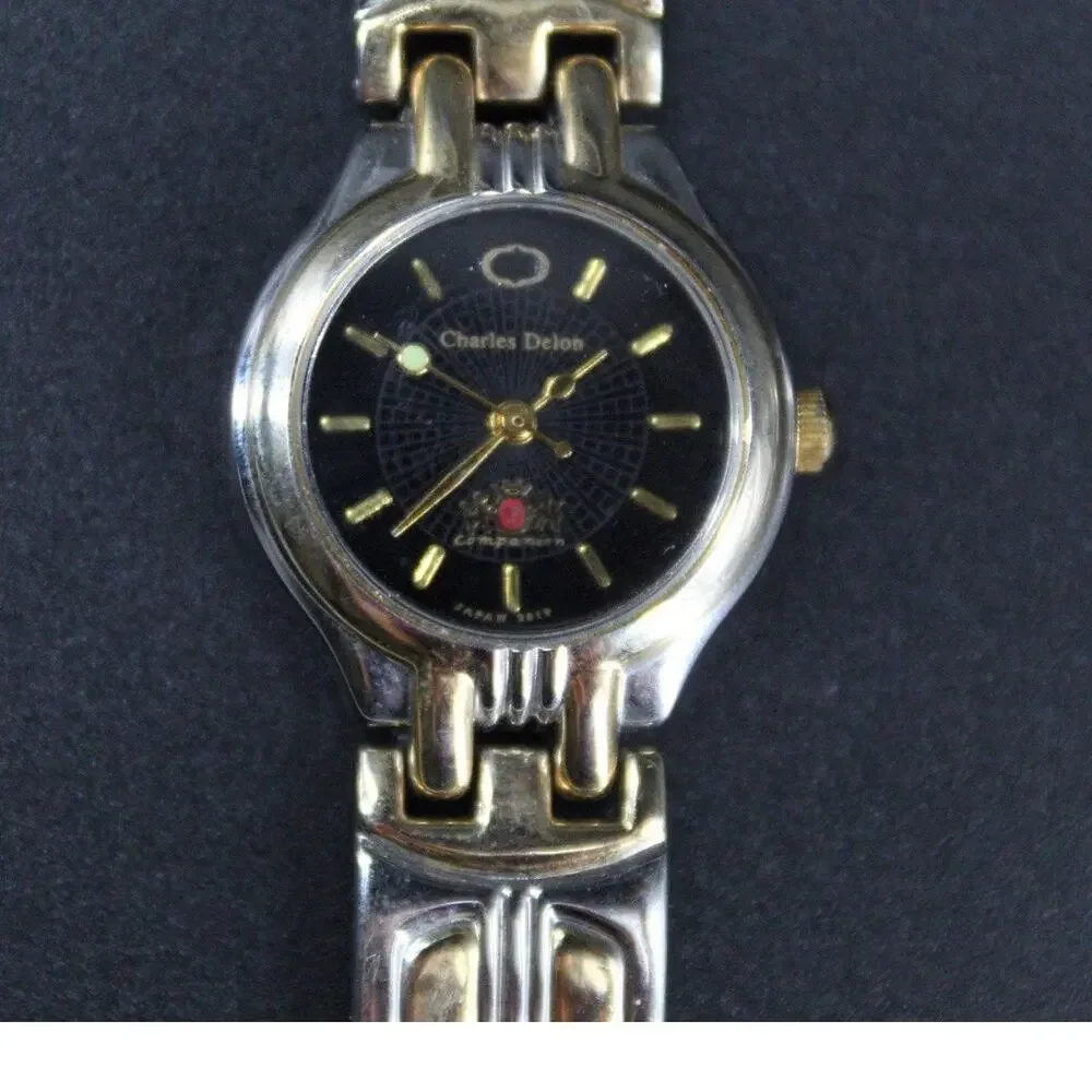 Charles Delon Black Dial Round Silver Tone Case Two Tone Band Watch New battery